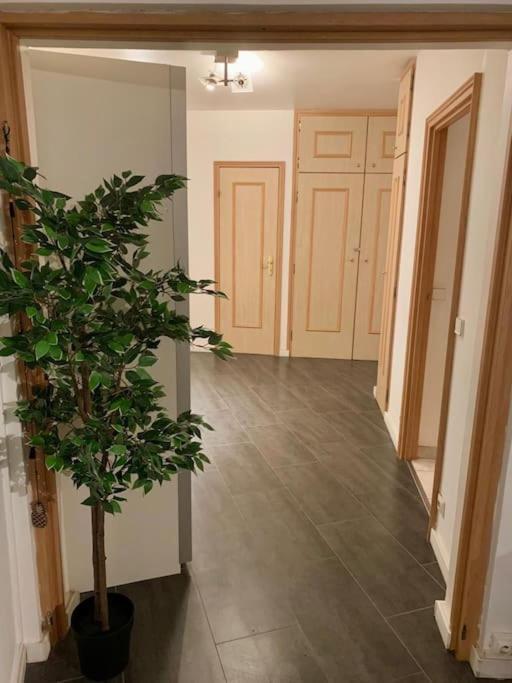 Grand Appartement 2 Chambres 5 Pers Max, Vue Panoramique Avec Parking Miluza Zewnętrze zdjęcie